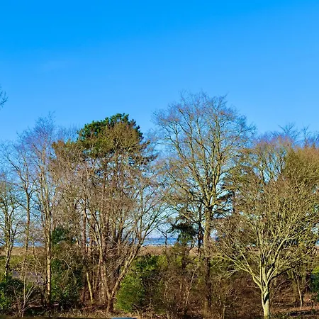 Möwennest * Cuxhaven